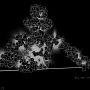 Pospi's Somos Wallpaper 1