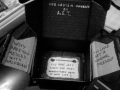 Actine's Sadism Box III